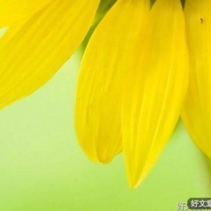 人生的路上，请学会轻装上阵