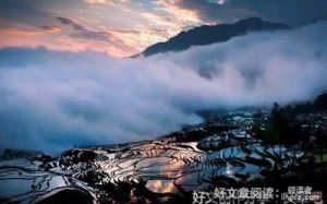 睡吧句子大全