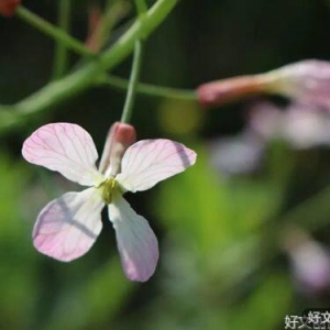 简单点，糊涂点，幸福就会多一点