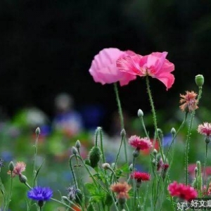 再善良，这3种忙也不要帮，帮了容易招祸