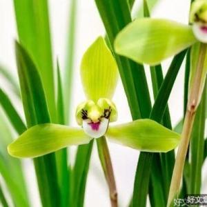 一个人，出现了三个预兆，说明你开始越来越有钱了