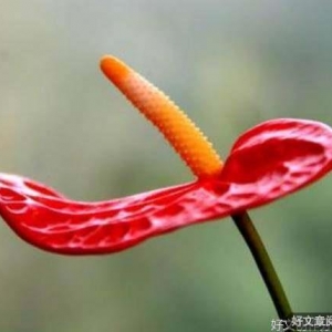 “有福之人，必有天相”：一个人有无福气，看这四样就够了，很准 ...