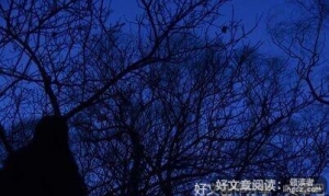 只是经典的句子
