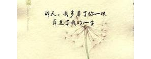 有一种相遇叫命中注定的句子,预见方能遇见经典句子？