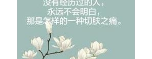 伤心痛恨的短句,痛恨一个人的经典句子？