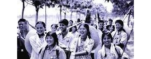 知青情怀的句子,难忘知青岁月经典语录？