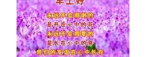 感恩别人的安慰语录经典短句,安慰退休人员的话语？
