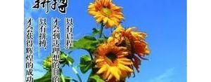 正能量的句子经典,励志人生经典语录正能量？