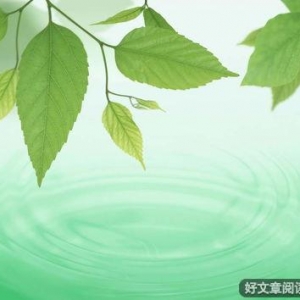 绿意的句子,一抹绿的唯美句子经典？