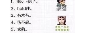 饭圈语录短句,饭圈语录？