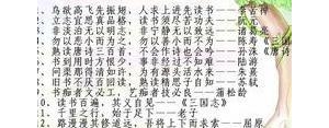 细心人的句子,细心的句子经典语录？
