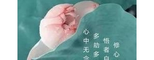 比较硬气的话短句,又骚又硬气的语录？