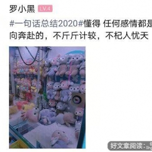 2020年尾的短句,2020年尾的总结经典句子？