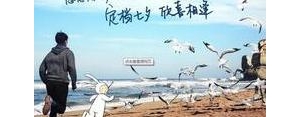 不再相信一个人的句子,经典语录  我不再相信你？