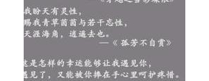 小说里的好句子,小说经典语句？