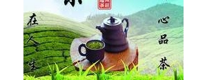茶叶广告短句,茶叶广告语简短经典？