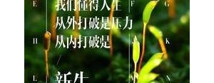 说的好不如行动的句子,千言万语不如一次行动经典句子？