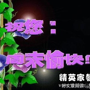 周日的句子,关于周末的经典句子？