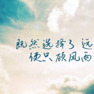 血的教训句子,血的教训经典语句？