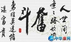 努力人的句子,赞美努力奋斗人的经典句子？