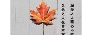 清纯褪去的短句,丢掉了曾经的单纯的经典句子？