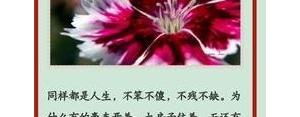 想大醉的句子,好想大醉一场经典语录？