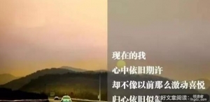 我,越来越害怕过年了!精辟语录,我，越来越害怕过年了！（精辟） ...