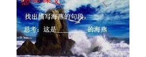 海燕的短句子,海燕的经典句子？