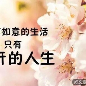 茶韵禅心语录短句,茶韵禅心语句？