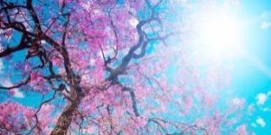 修心名句经典语录,11句经典修心语录：最怕的东西，最应该去突破. ...