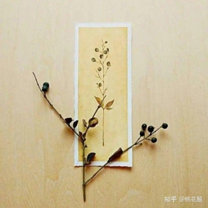 《人生哲理》