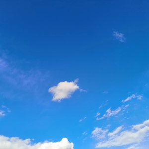 每日精选美文摘句