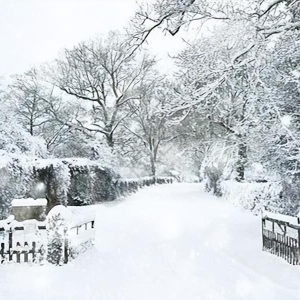 下雪天（美文精选）