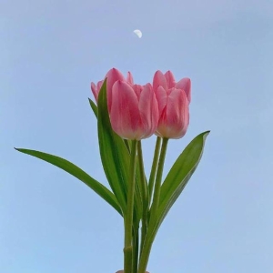 比较精辟的人生格言，充满哲理，启迪人心！