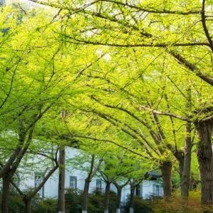 段玉铭：人生感悟