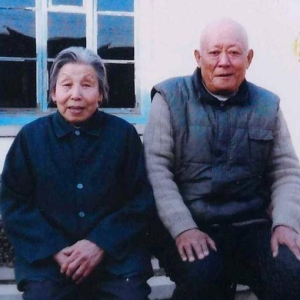 感恩母亲