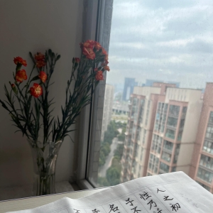 🌱我的读书笔记35-人生的智慧