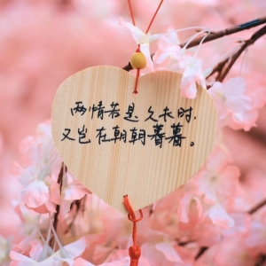 打动人心的经典爱情语录