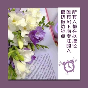 励志经典语录，总有一个适合你