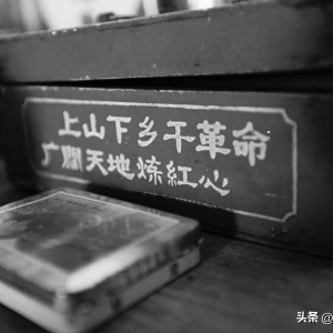 知青往事：下乡插队他和村里的寡妇惹闲话，背后的故事却令人泪目