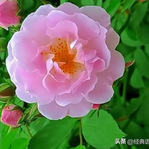 《句句深入人心经典语录》