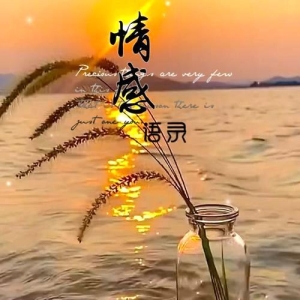 经典的人生情感语录，确能沁人心脾给人启迪