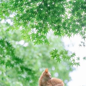 一个感人的师生之间小故事