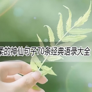 超级温柔的神仙句子70条经典语录大全