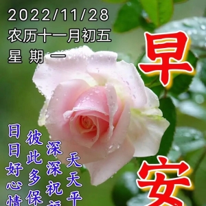 周一愉快，珍重友情，感恩相遇