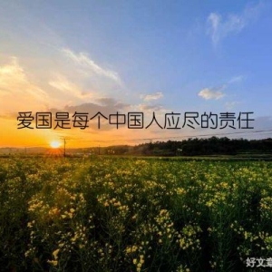 爱国是每个中国人应尽的责任