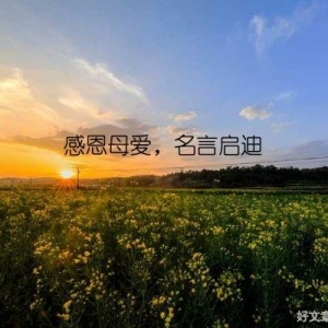 感恩母爱，名言启迪