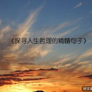 《探寻人生哲理的精髓句子》