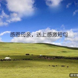 感恩母亲，送上感激短句