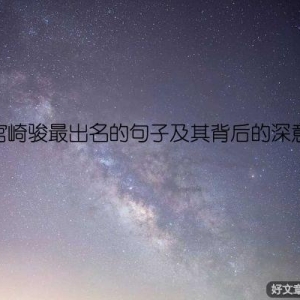 宫崎骏最出名的句子及其背后的深意